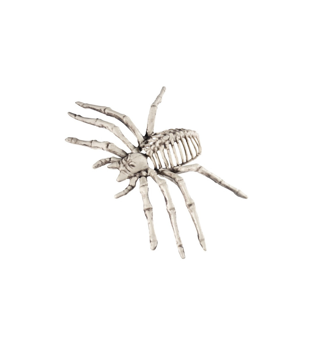 Kostra - malý Pavouk 22x13x6,5cm